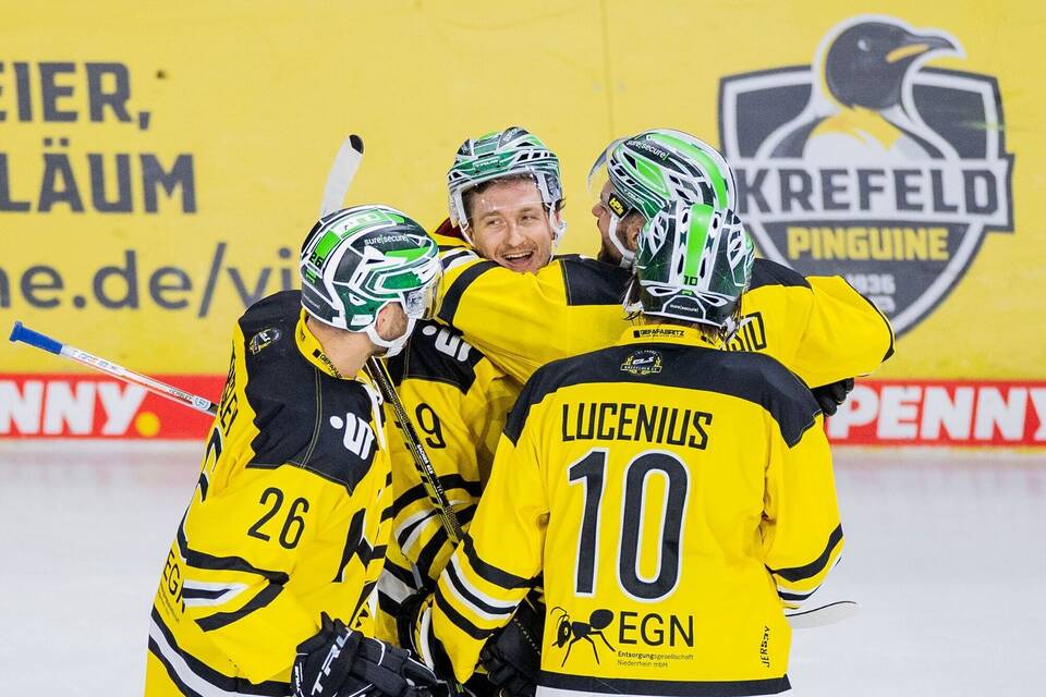 Krefeld Pinguine Krefeld Pinguine