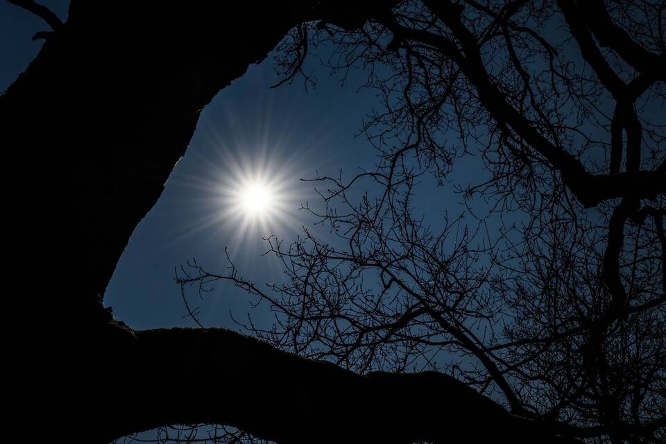 Sonnenschein Sonnenschein