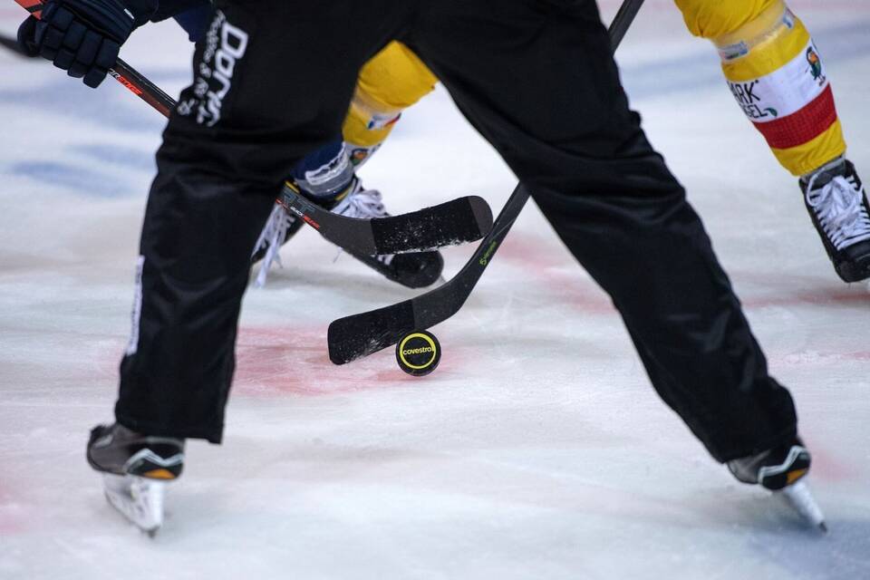 DEL-Eishockey