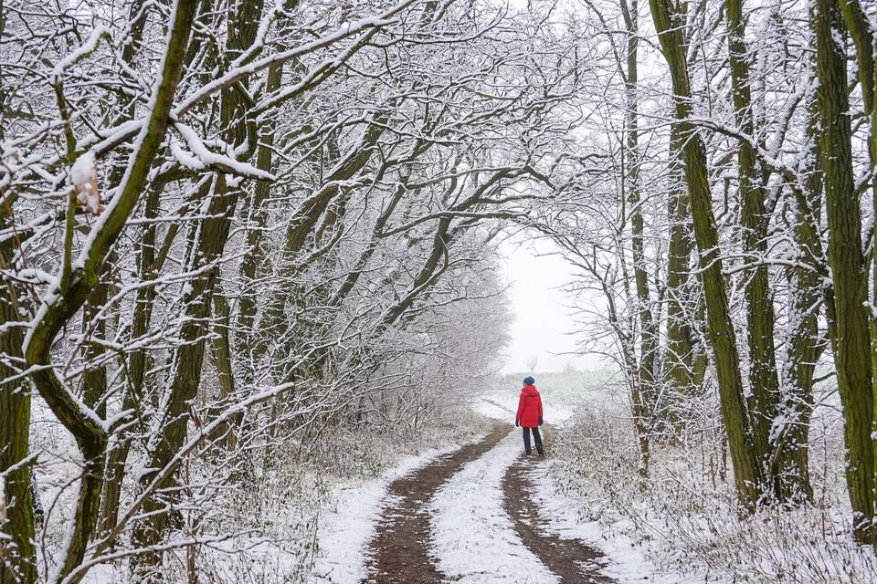 Winterwetter