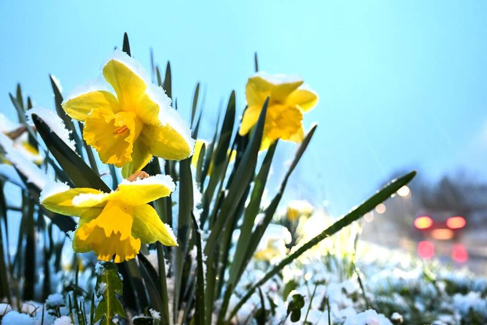 Schnee im April