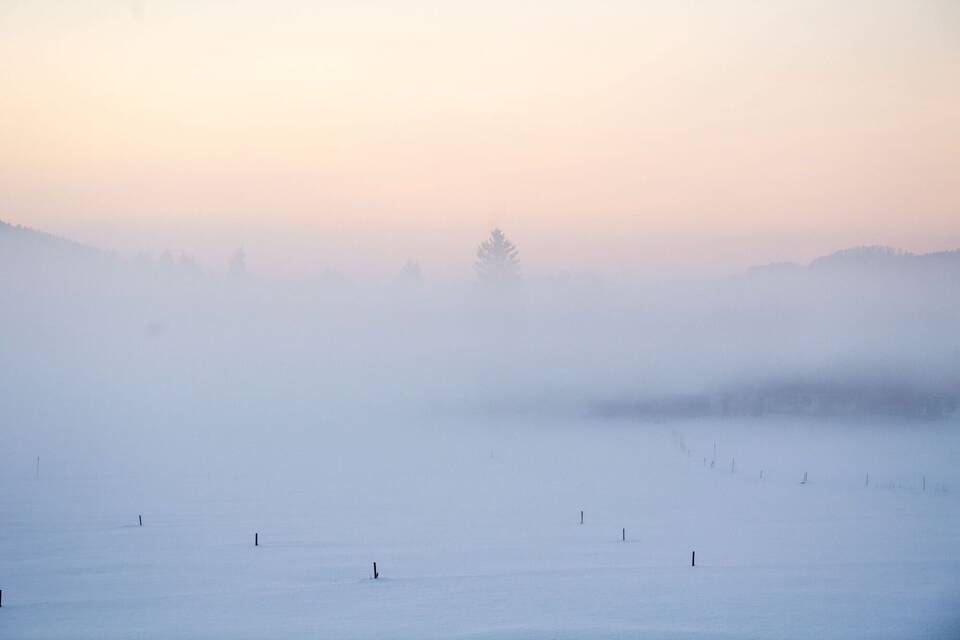 Nebel Nebel