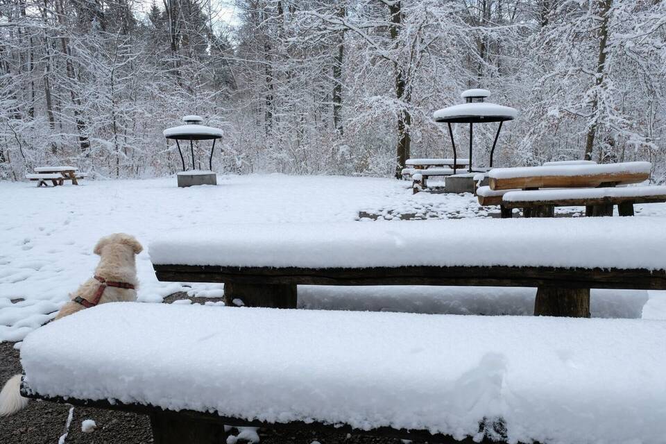 Wintereinbruch in Stuttgart Wintereinbruch in Stuttgart