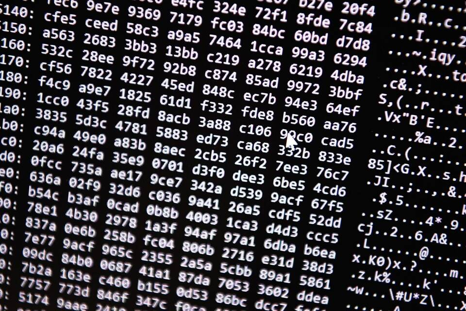 Darknet Darknet