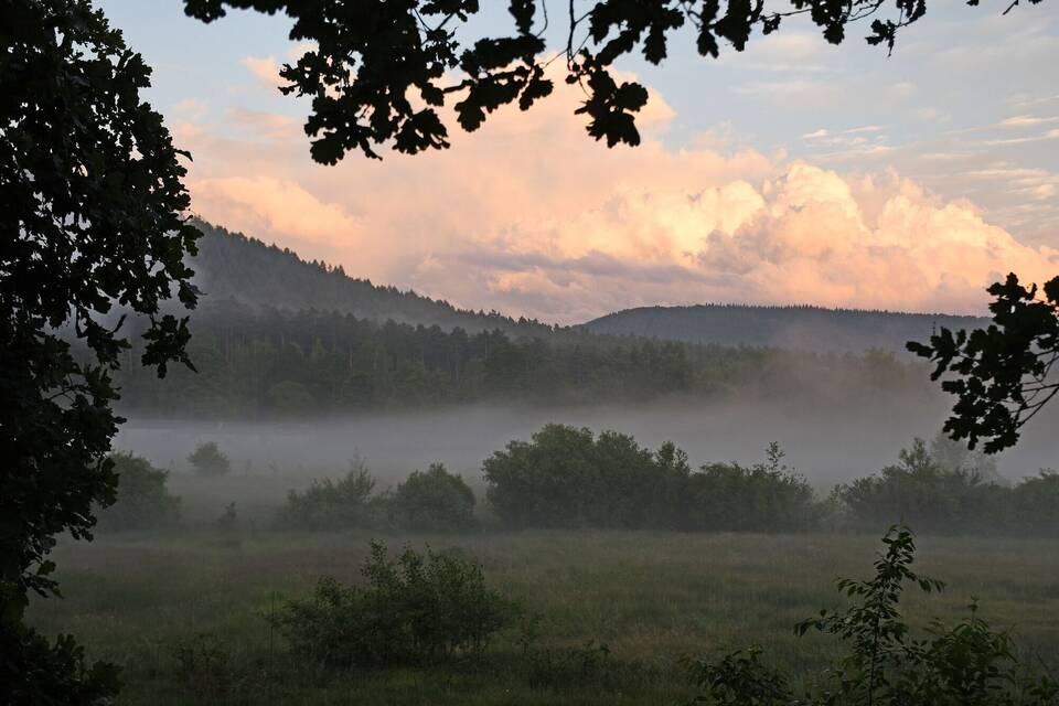 Pfälzerwald Pfälzerwald