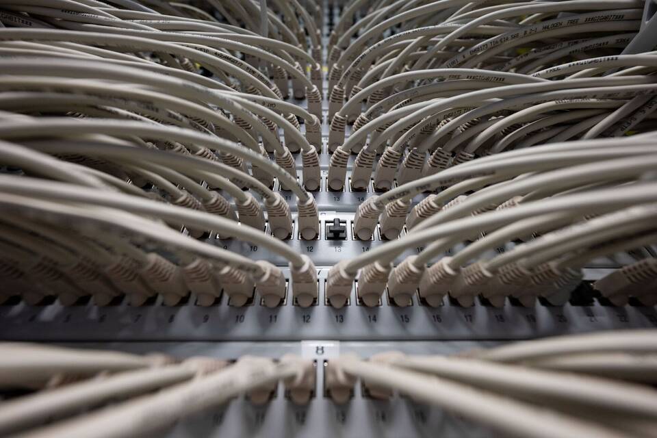 Netzwerkkabel