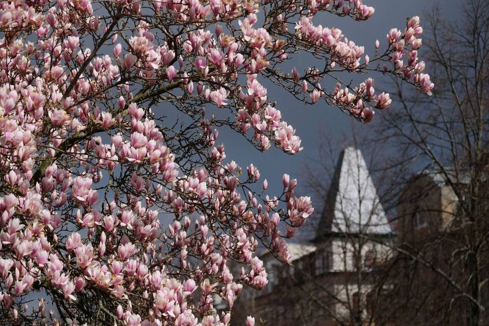 Aprilwetter Aprilwetter