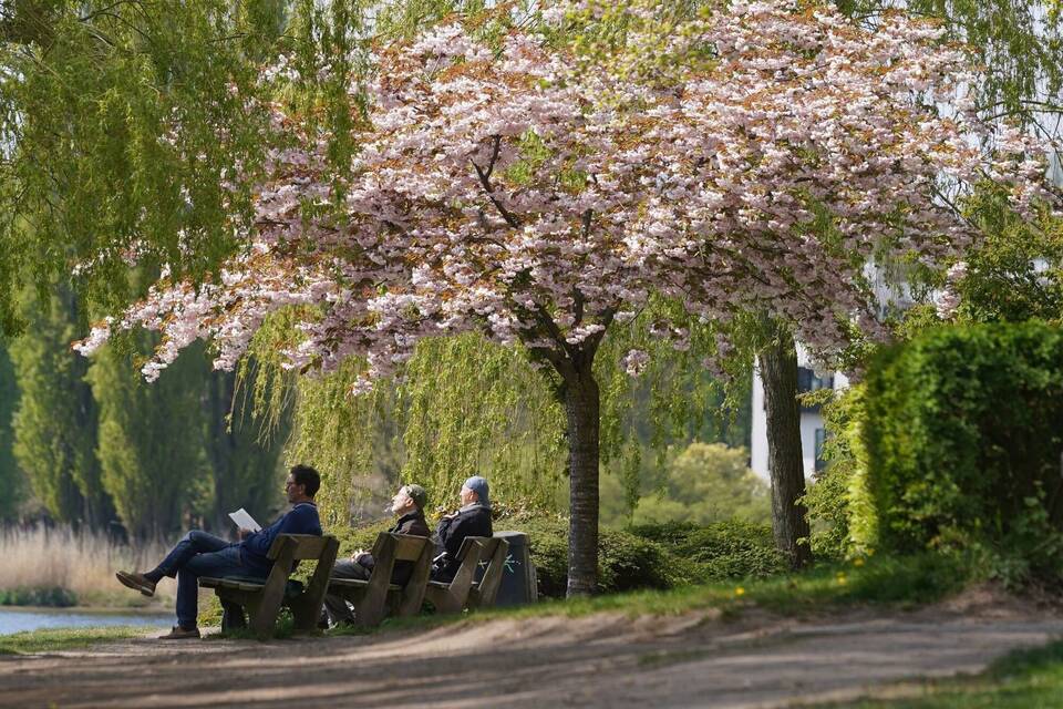 Frühling in Hamburg