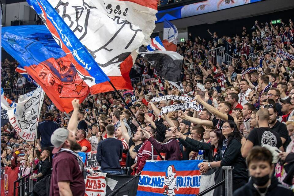 Eishockey-Fans Eishockey-Fans