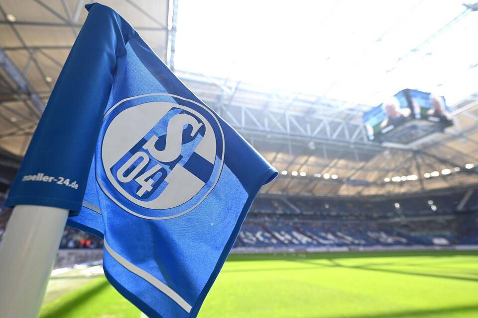 S04 verpflichtet Cisse S04 verpflichtet Cisse