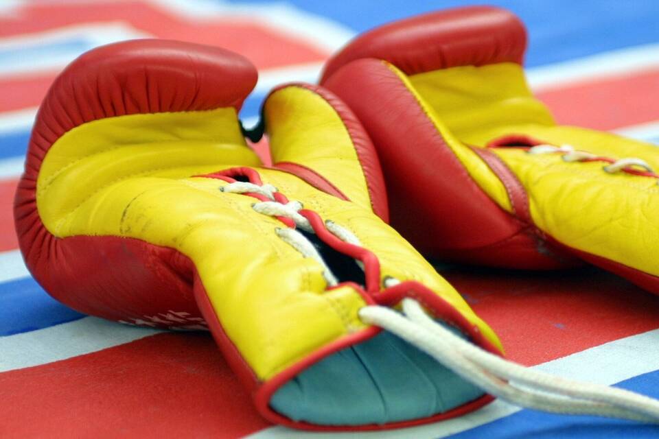 Boxhandschuhe Boxhandschuhe