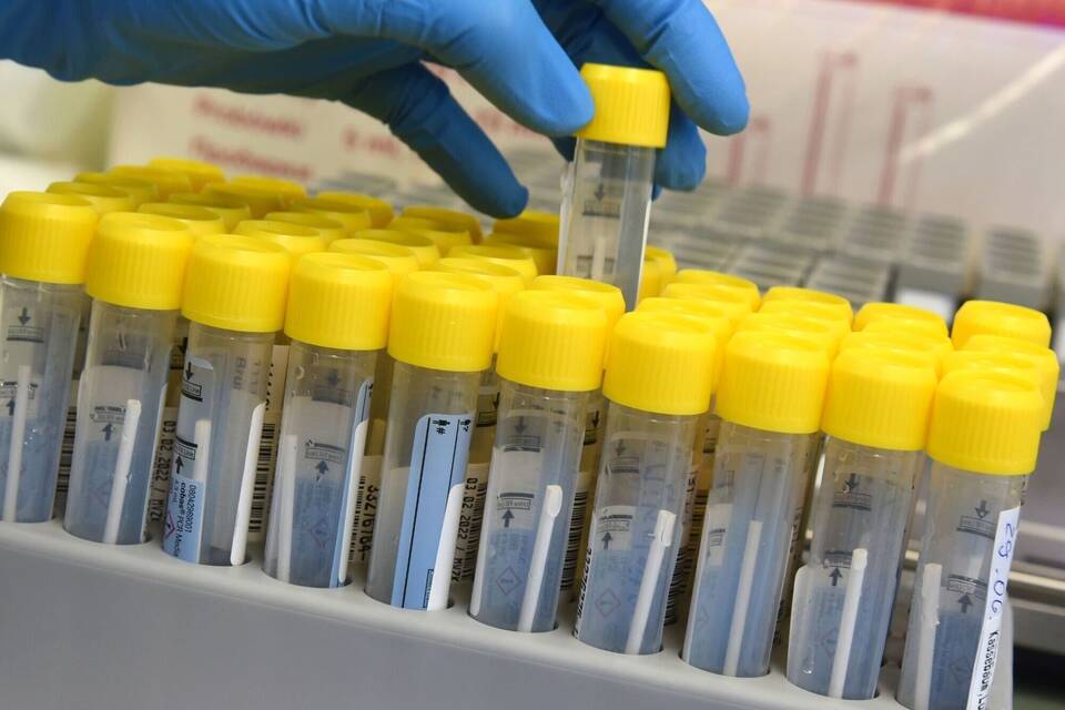 PCR-Labor PCR-Labor