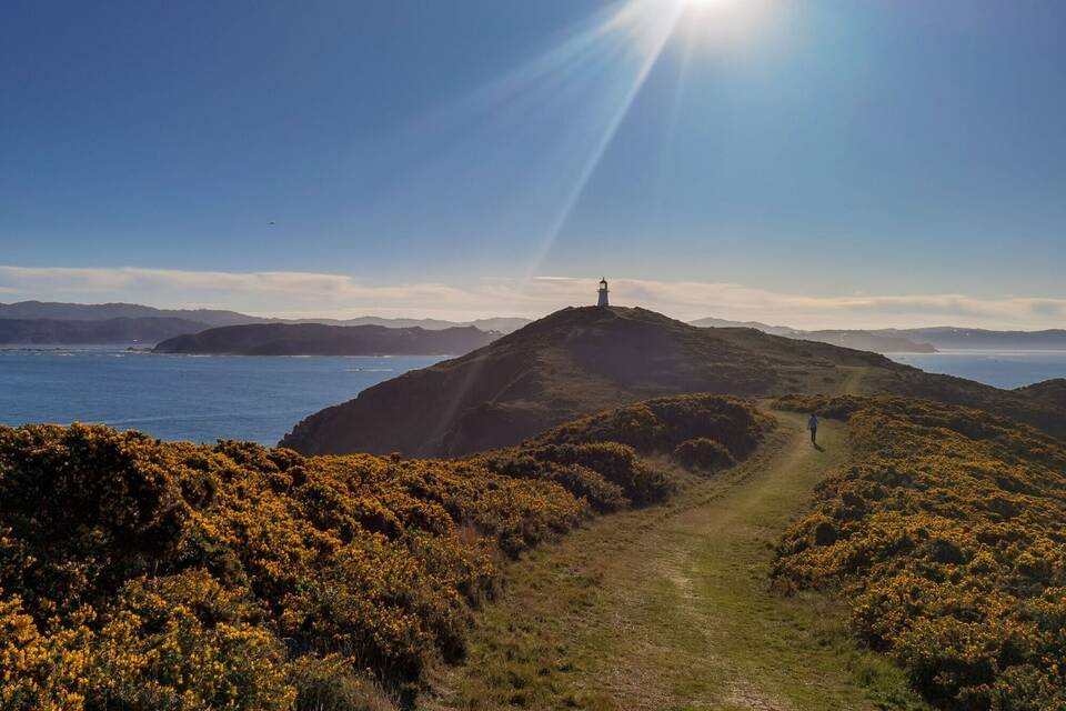 Neuseeland Neuseeland