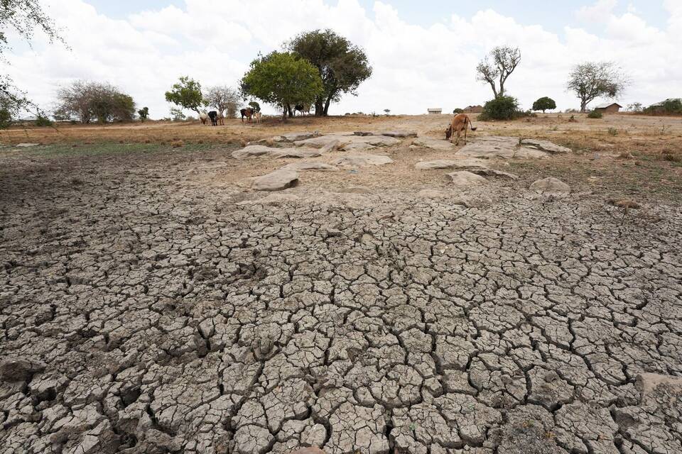 Dürre in Afrika Dürre in Afrika