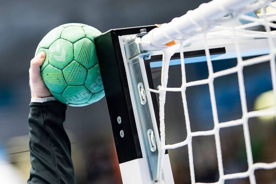 Handball-Bundesliga Handball-Bundesliga