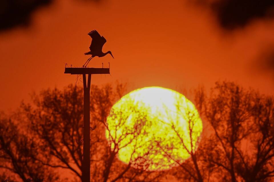 Abflug im Sonnenaufgang