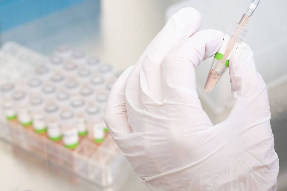 Coronavirus Coronavirus