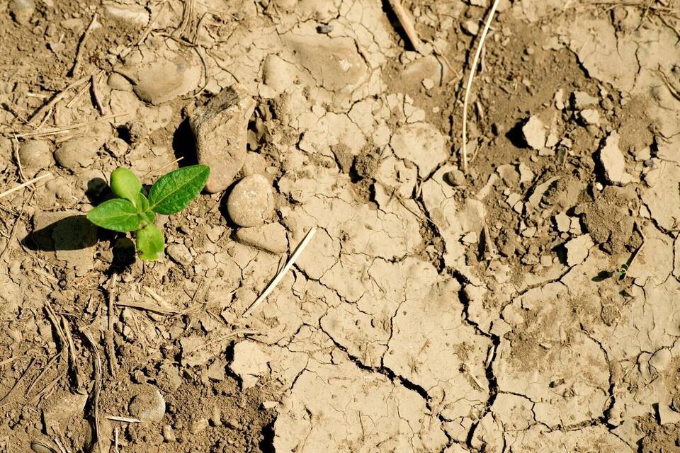 Trockenheit und Wassermangel