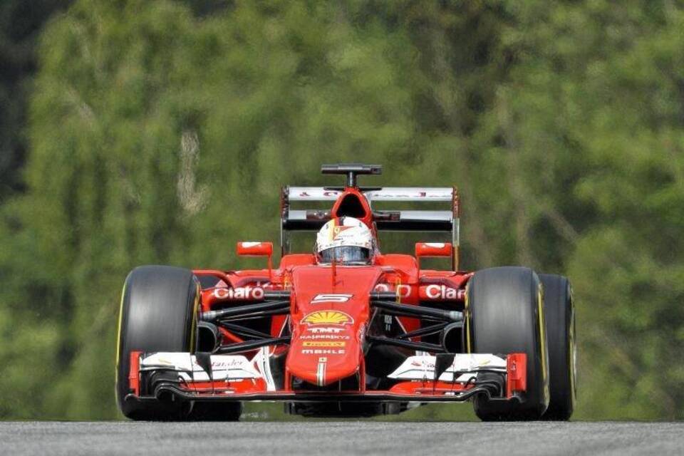 Ferrari-Pilot Ferrari-Pilot