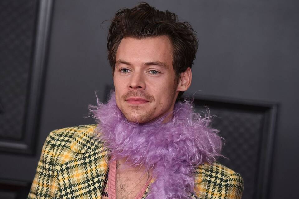 Harry Styles Harry Styles