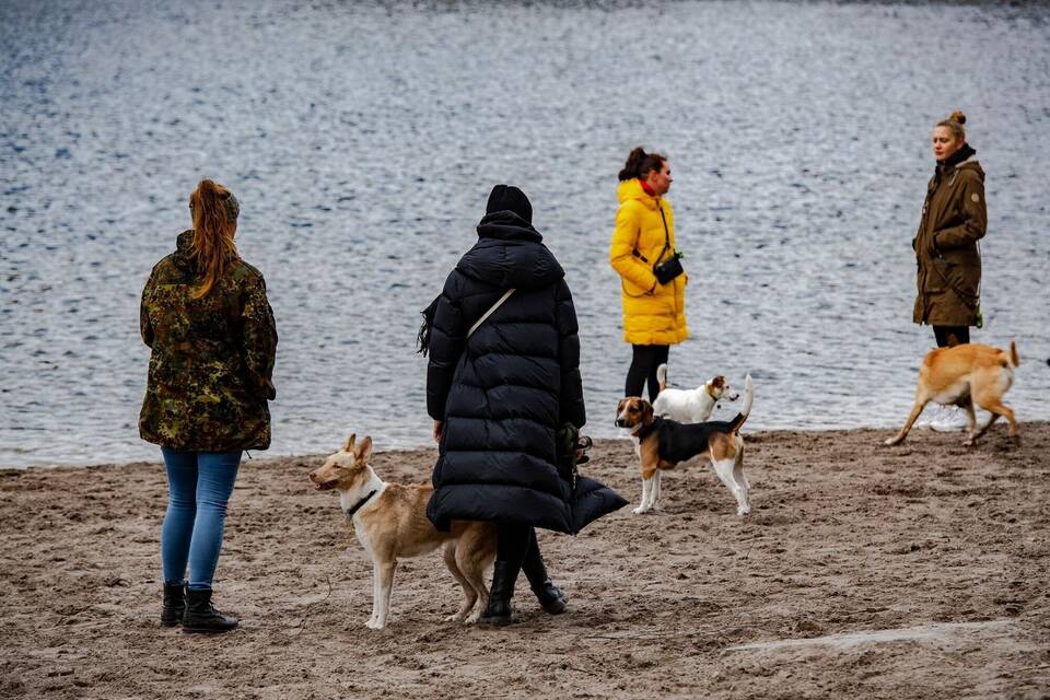 Mehr Hunde und Halter in Berlin Mehr Hunde und Halter in Berlin
