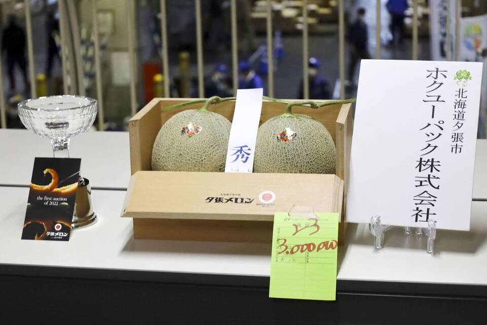 Yubari-Melonen Yubari-Melonen