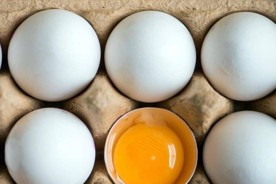 Eier