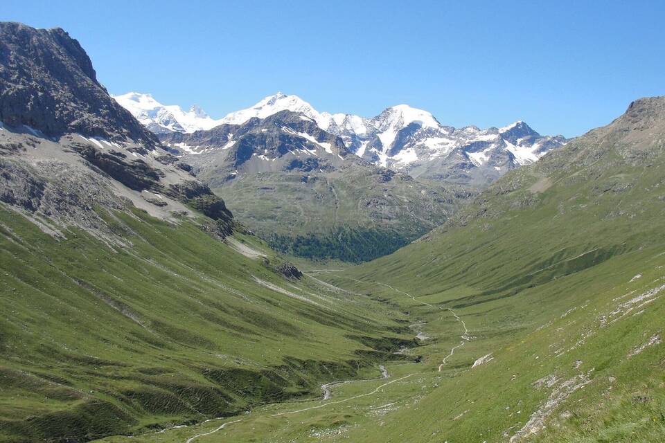 Alpen ergrünen Alpen ergrünen