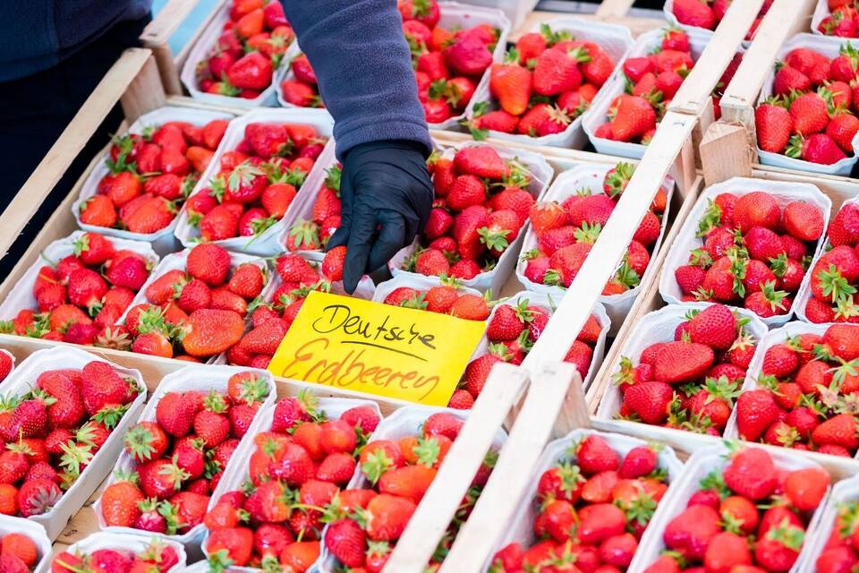 Erdbeeren Erdbeeren