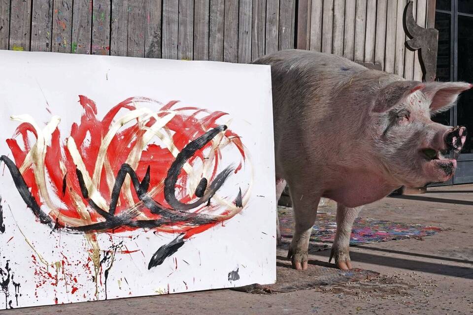 Kunst von Pigcasso Kunst von Pigcasso