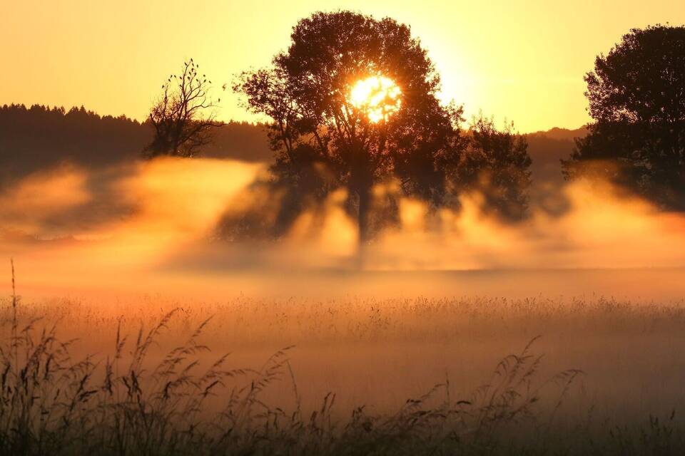 Sonne Sonne