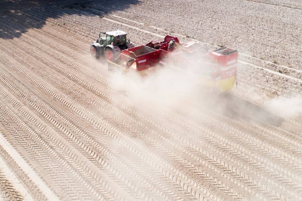 Kartoffelernte Kartoffelernte