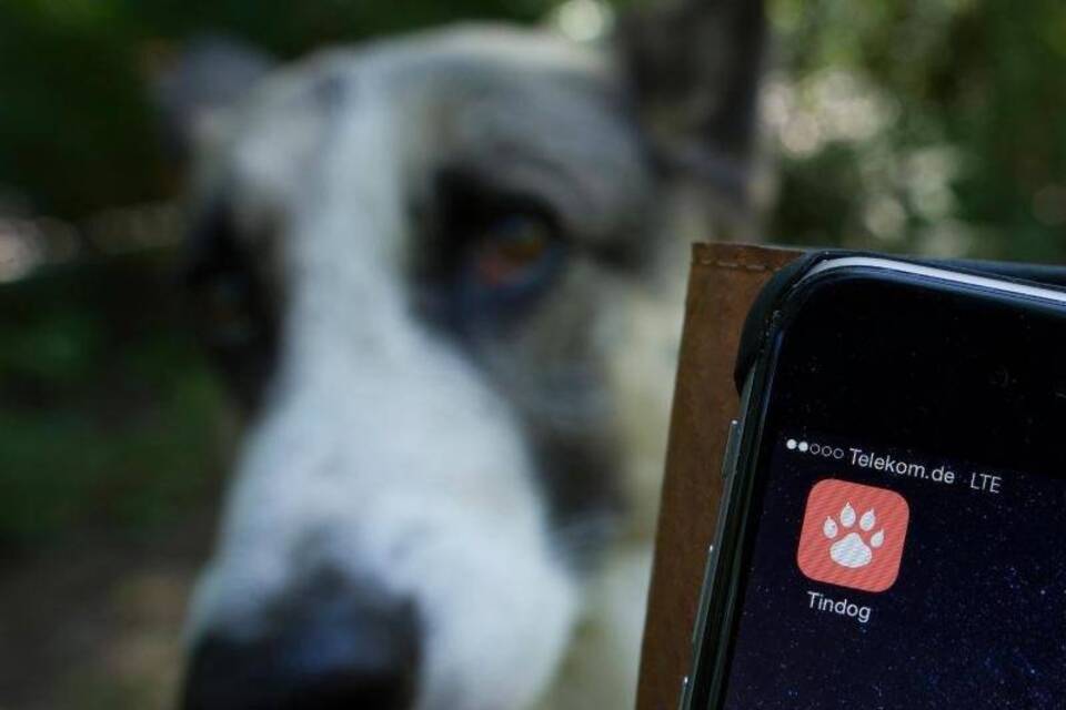 Handy-Dating für Hund und Herrchen Handy-Dating für Hund und Herrchen