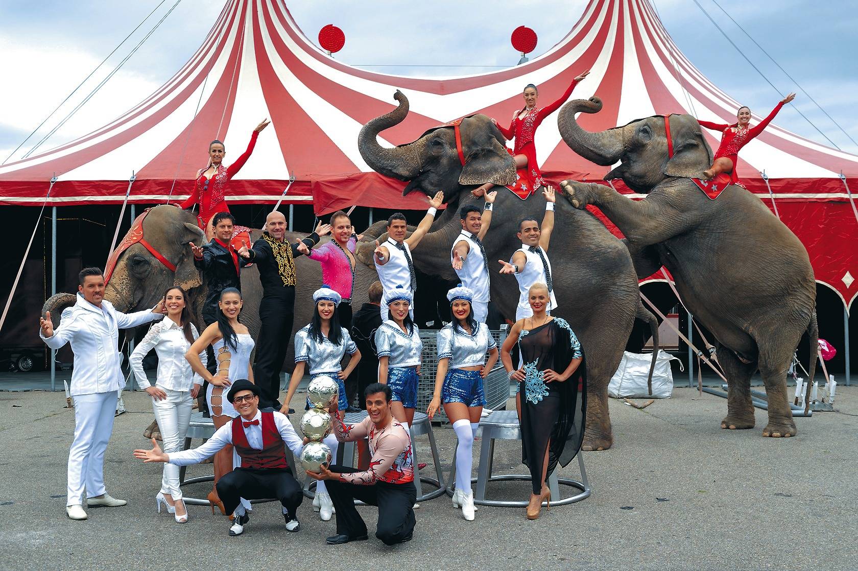 Zirkus Knie In Heidelberg Tierschutzer Und Zirkus Streiten Uber Wildtiere Nachrichten Aus Heidelberg Rnz