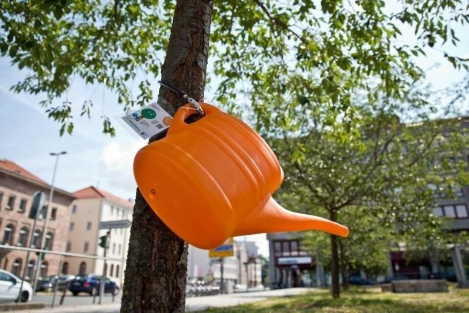 Gießkanne Gießkanne