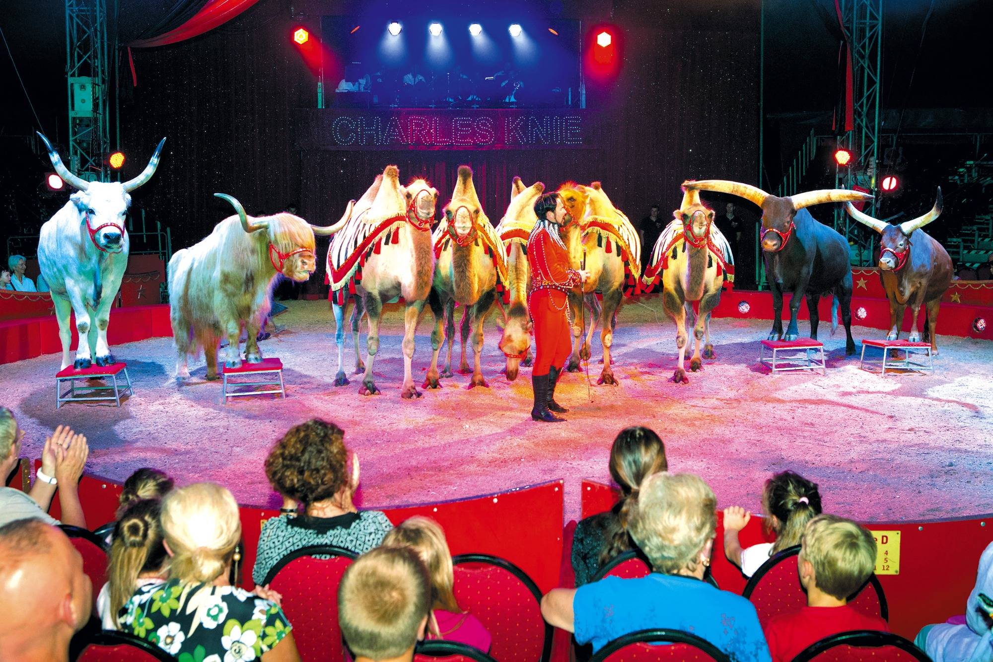 Zirkus Zirkus
