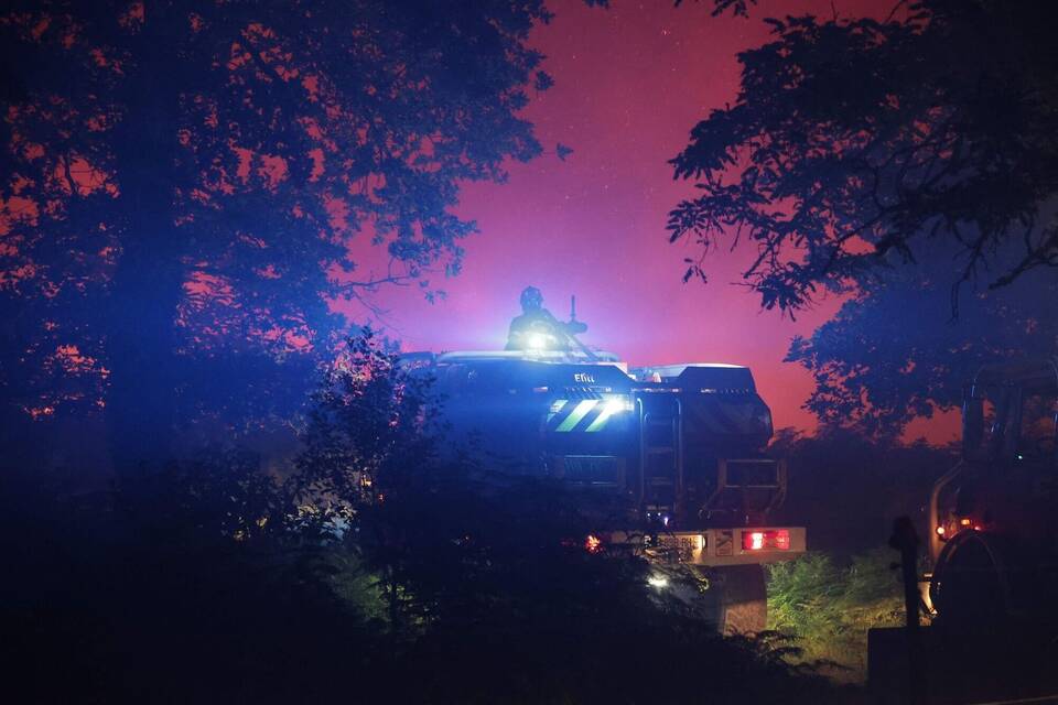 Waldbrand Waldbrand
