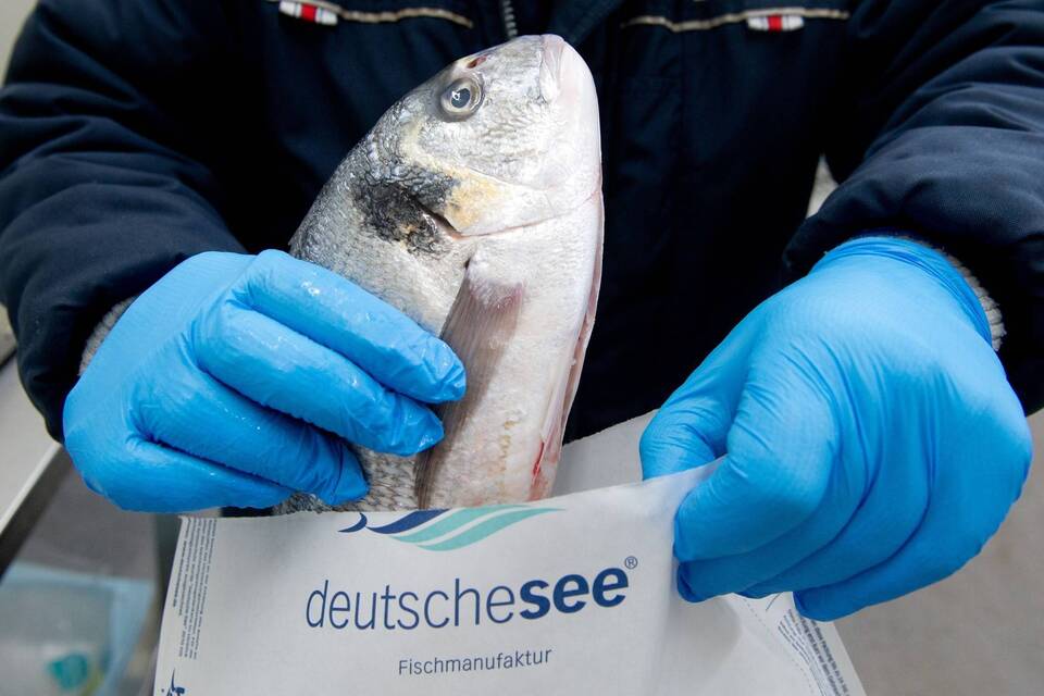 Beim Lebensmittelhandel im Internet hinkt Deutschland hinterher Beim Lebensmittelhandel im Internet hinkt Deutschland hinterher