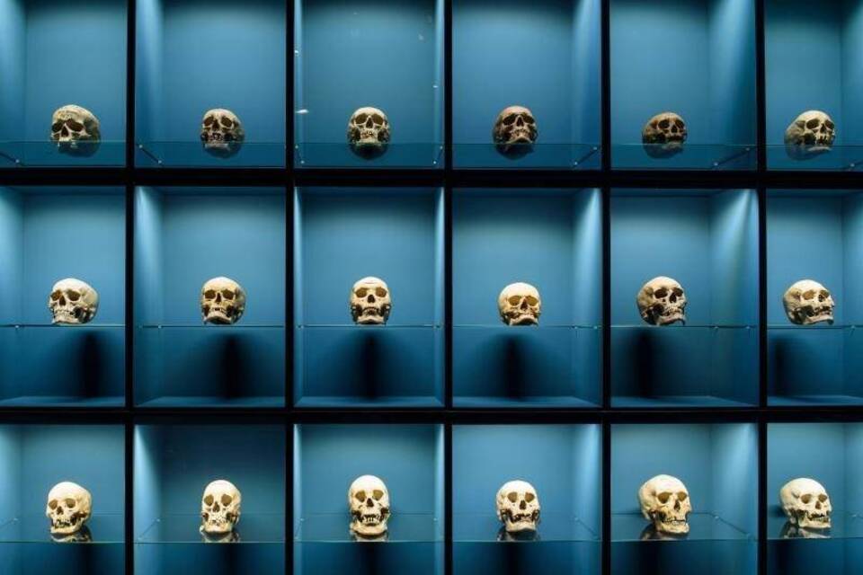 Schädel - Ikone. Mythos. Kult Schädel - Ikone. Mythos. Kult