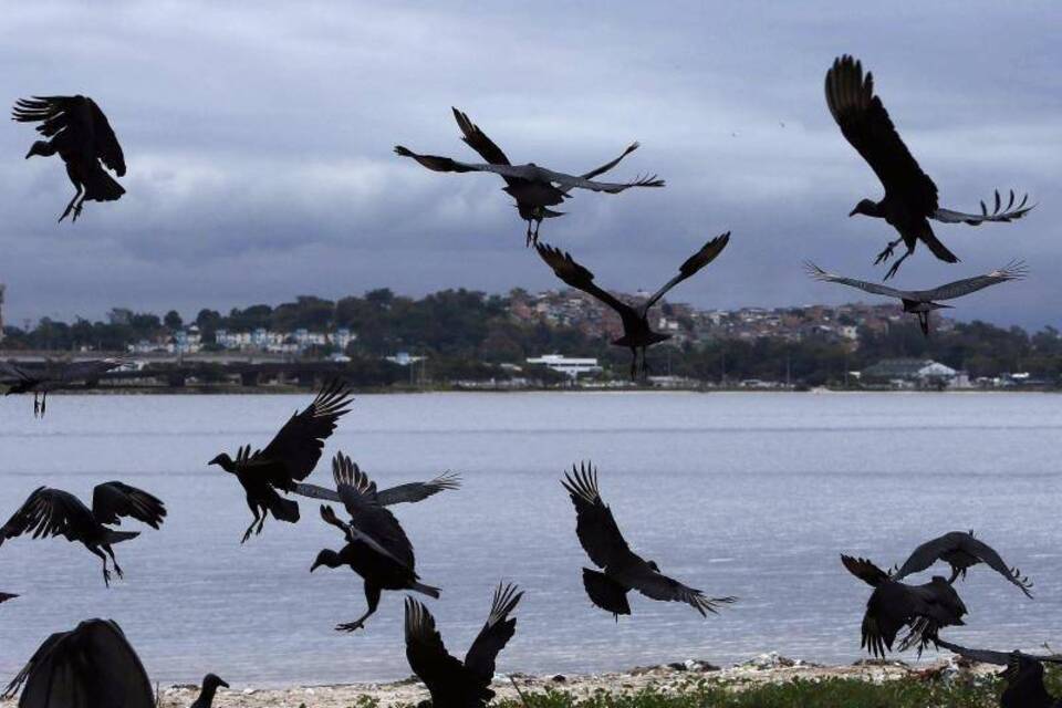Guanabara-Bucht Guanabara-Bucht