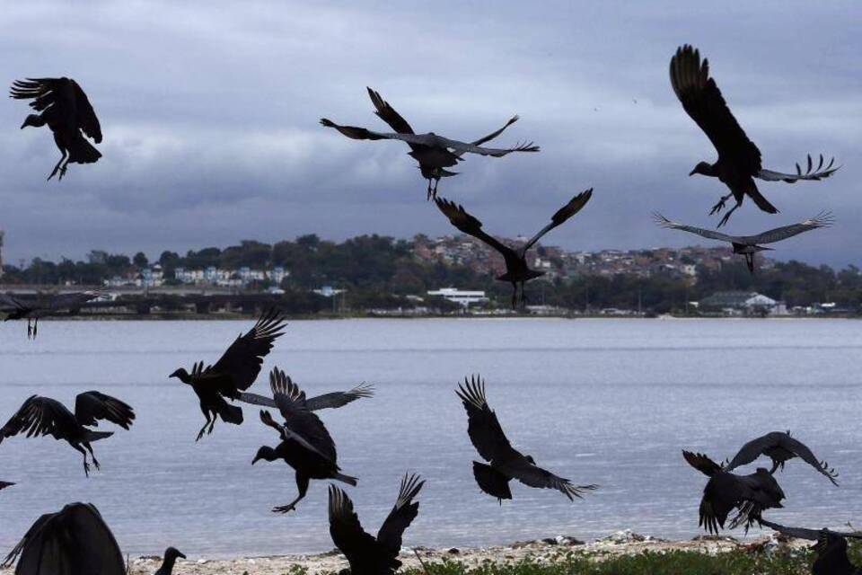 Guanabara-Bucht