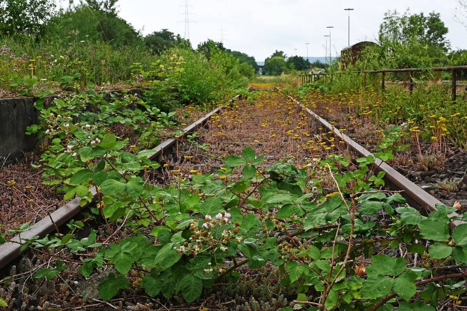 Stillgelegte Bahnstrecke