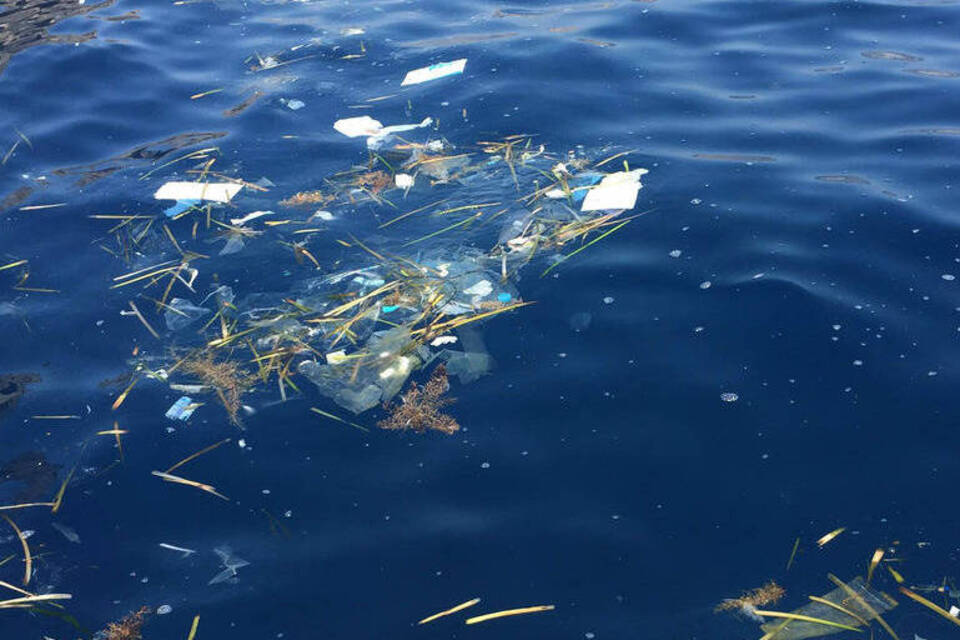 Plastikschwemme vor Mallorca empört Badegäste und Umweltschützer