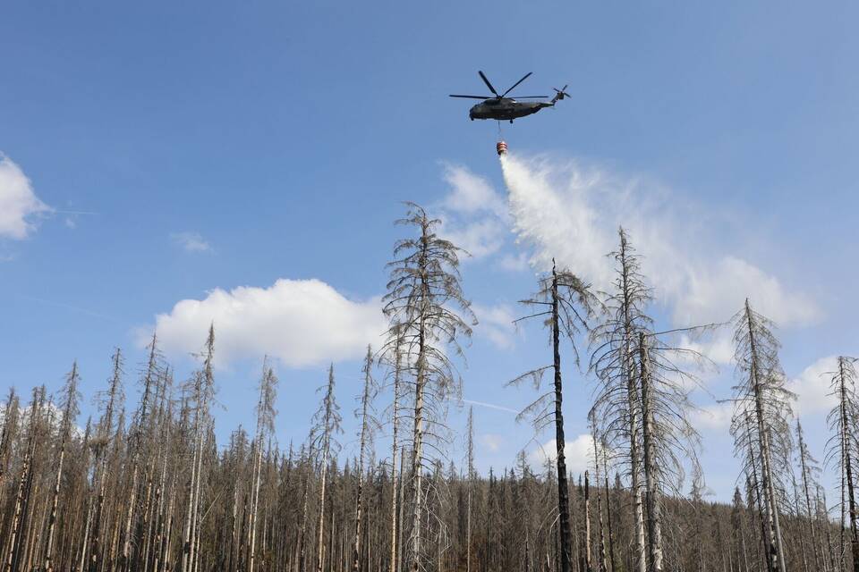 Waldbrand in Schierke Waldbrand in Schierke