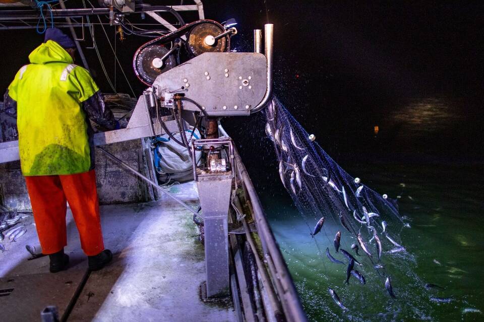 Fischerei in der Ostsee