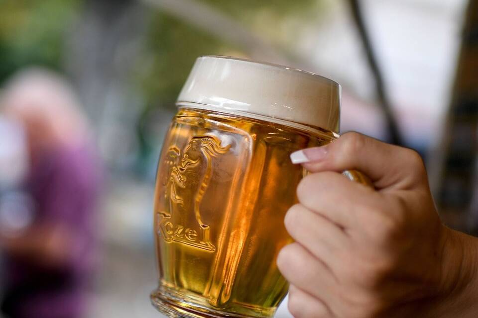 Bier Bier