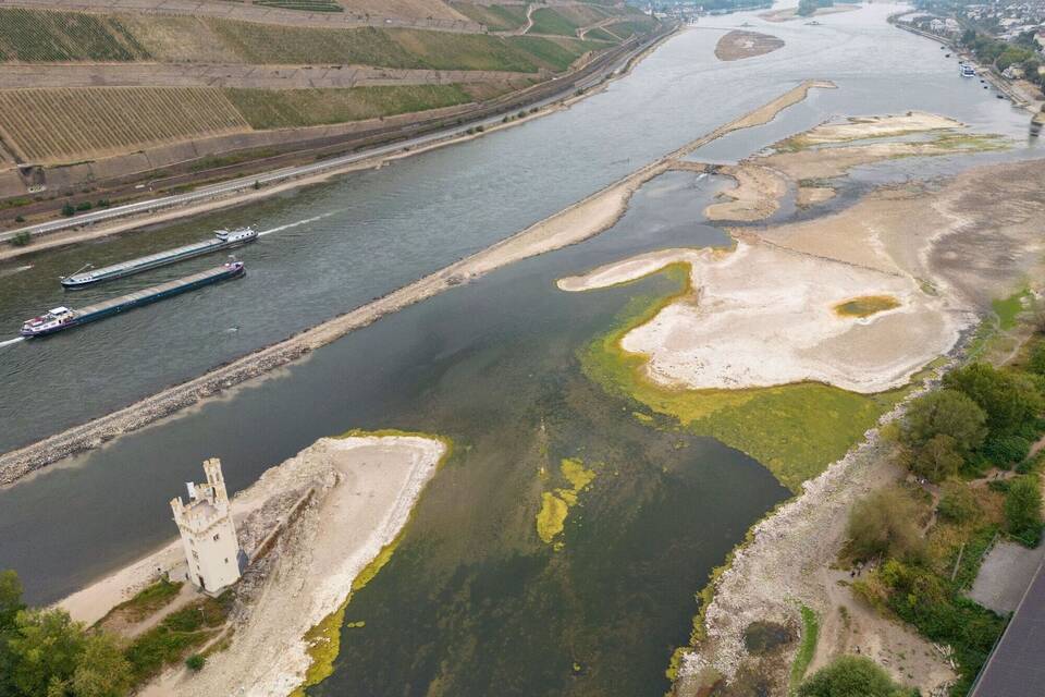 Niedrigwasser im Rhein Niedrigwasser im Rhein
