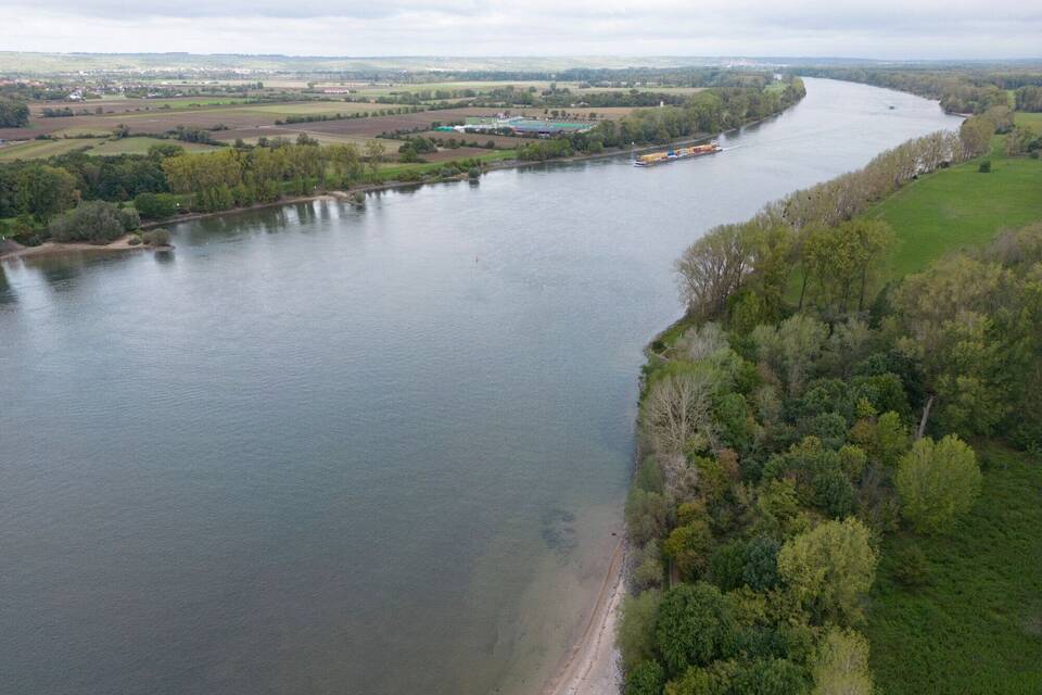 Rheinpegel wieder gestiegen Rheinpegel wieder gestiegen