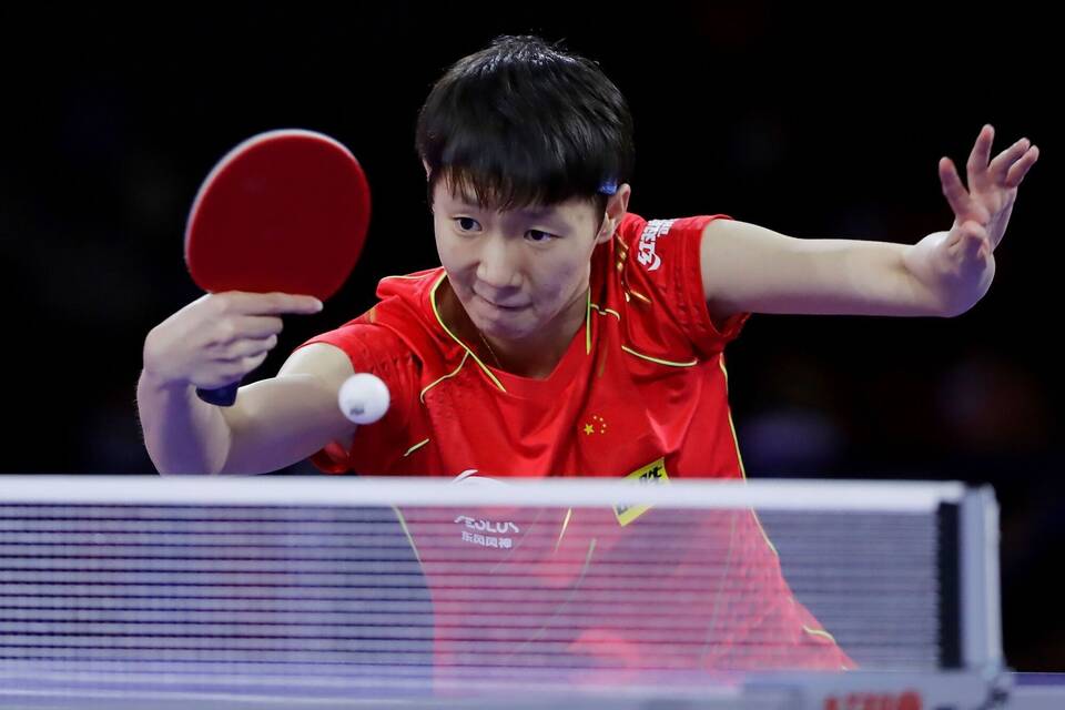 Wang Manyu