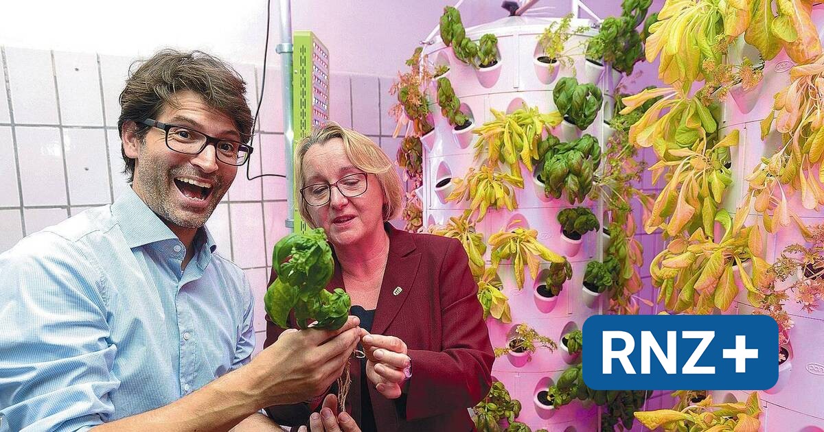 Grüne diskutieren mit Ministerin Theresia Bauer über Gemüseanbau in der